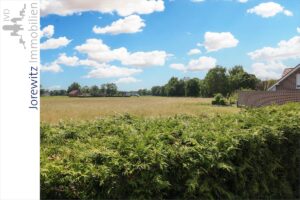 007 - Ausblick aufs Feld