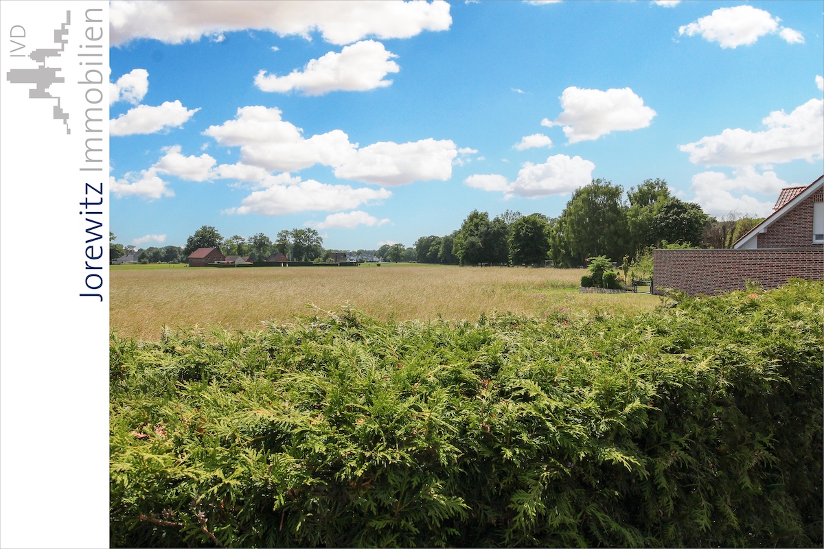 007 - Ausblick aufs Feld