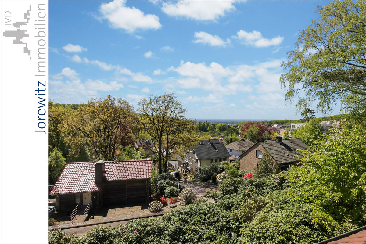 003 - Fernblick